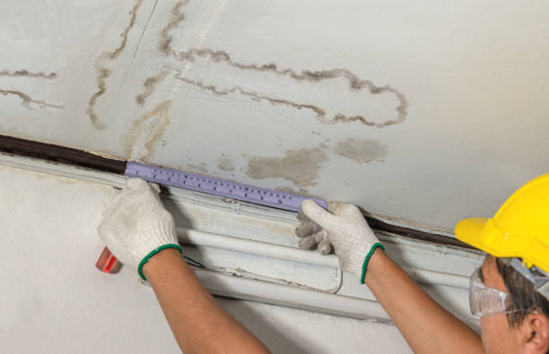 Reliable Burst Pipe Cleanup contractor in La Salle, TX by Water Damage Irwin